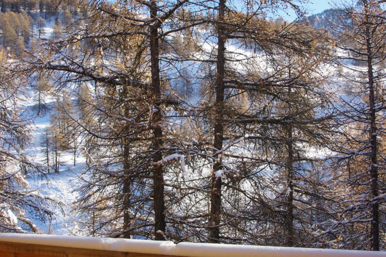 Spacieux Et Fonctionnel Dans Ecrin Des Neiges Вар Екстер'єр фото
